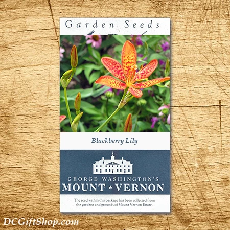 Blackberry Lily Heirloom Seeds - 3 Pack 3 Blackberry Lily Heirloom Seeds - 3 Pack