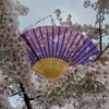 2019 National Cherry Blossom Festival Fan