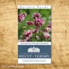 Nora Barlow Columbine Heirloom Seeds - 3 Pack