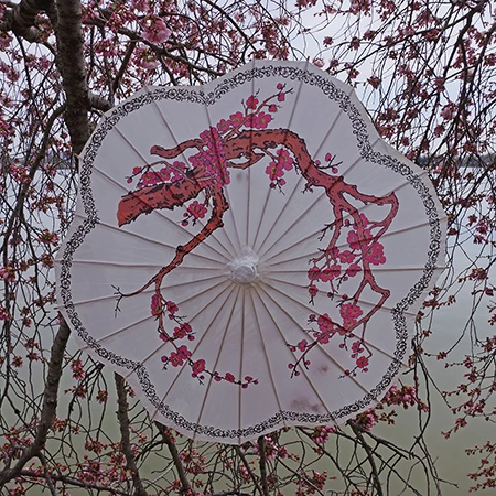 Official Sakura Paper Parasol 3 Official Sakura Paper Parasol
