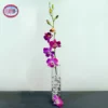 Single Purple Dendrobium Orchid With Vase 2 Single Purple Dendrobium Orchid With Vase -DC GIFT SHOP Single Purple Dendrobium Orchid with Vase L