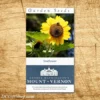 Colonial Sunflower Heirloom Seeds - 3 Pack