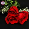 Three Red Mother's Day Roses 2 Three Red Mother's Day Roses -DC GIFT SHOP Three Red Mothers Day Roses L