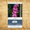 American Foxglove Heirloom Seeds - 3 Pack